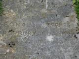 image of grave number 488591